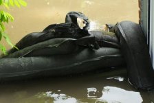 Hochwasser 2018